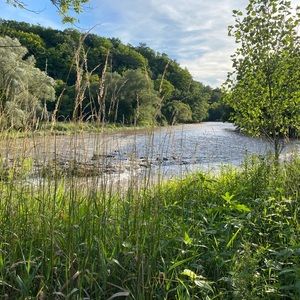 Meet your Posher, Ann
